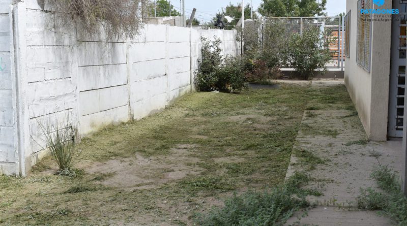 Mantenimiento en Escuela 2 de Patagones