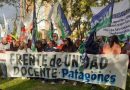 El frente de Unidad Docente de Patagones participó de la marcha en defensa de la Universidad Pública